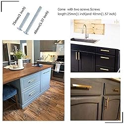 goldenwarm 2Pack Brushed Brass Cabinet Knobs