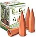 Naymark Terracotta Plant Waterer 4 Count Wine Bottle Stake Set