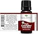Plant Therapy Organic Fighter Essential Oil Blend 100% Pure, Undiluted, Therapeutic Grade 10 mL (1/3 oz)
