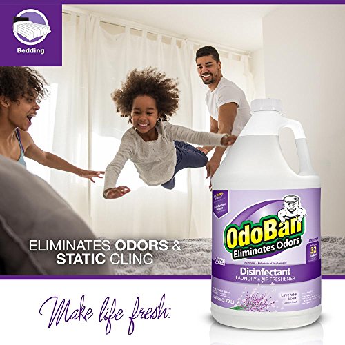 OdoBan Multipurpose Cleaner Concentrate, 2 Gallons, Lavender Scent
