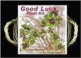 Good Luck Plant Kit