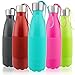 Thermo Tank Insulated Stainless Steel Water Bottle - Ice Cold 36 Hours! Vacuum + Copper Technology - Carry Loop Lid, Silicone Grip - 17 Ounce (Mint, 17oz)