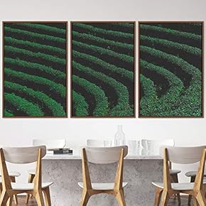 signwin 3 Piece Framed Canvas Wall Art Abstract...