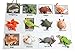 Montessori Pet Animal Match - Miniature Pet Animal Toy Figurines with Matching Cards - 2 Part Cards. Montessori Learning Toy, Language Materials Busy Bag Activity