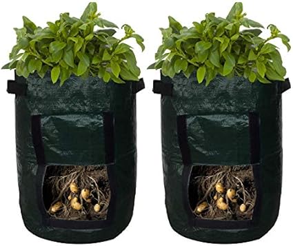 Amazon Com Potato Planter Bags Garden Tub For Vegetable Growing With Flap Access 2 Pack Garden Outdoor Amazon Com Potato Planter Bags Garden Tub For Vegetable Growing With Flap Access 2 Pack Garden Outdoor