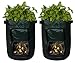 Potato Planter Bags - Garden Tub for Vegetable Growing with Flap Access - 2 Pack primary