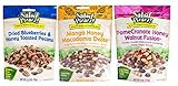 Salad Pizazz Salad Topping 3 Flavor Variety Bundle: (1) Salad Pizazz Dried Blueberries & Honey Toasted Pecans, (1) Salad Pizazz PomeCranate Honey Walnut Fusion, and (1) Salad Pizazz Mango Honey Macadamia Delite, 3.5 - 4 Oz. Ea. (3 Bags Total)