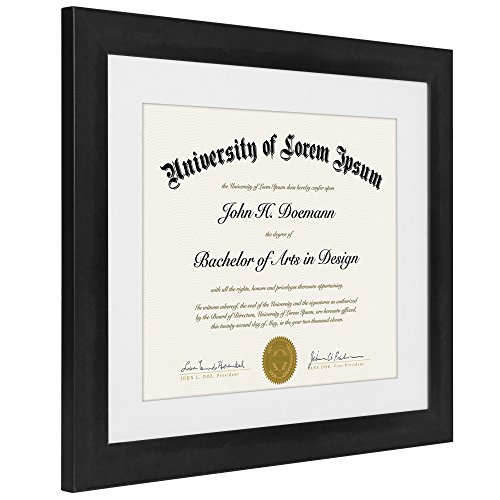 1 Americanflat+11x14+Document+Frame+Documents