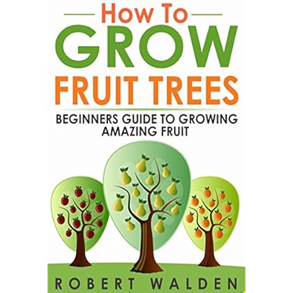 How to Grow Fruit Trees – Beginners Guide to Growing Amazing Fruit