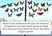 Quotidian Products Butterfly Window Clings-20xAnti Collision Decal to Prevent Bird Strikes on Doors & Windows-Static,UV Resistant & Non Adhesive Vinyl Cling Deterrent Decal & Glass Decor to Alert Bird