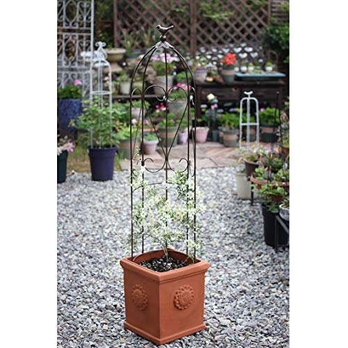 CJSWT Garten Obelisken Metall Trellis Blumenunterstützung Für Klettern von Reben und Pflanzen,Rankhilfe, Rankgerüst… – Bild 6