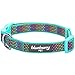 Blueberry Pet 13 Patterns Magic Rainbow Color Reflective Polka Dot Holo Dog Collar in Mint Blue, Medium, Neck 14.5