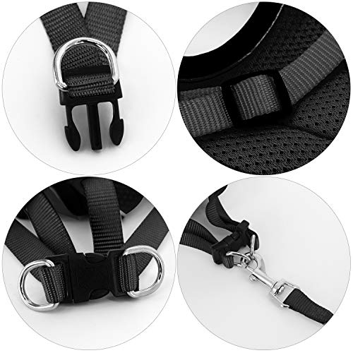 Kamots Beauty Escape Proof Cat Dog Harness and Leash Adjustable Soft Mesh Pet Vest with Reflective Strap for Puppy Kitten Small Pet Walking -(Black,M)