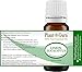 Lemon Eucalyptus Essential Oil 10 ml. 100% Pure Undiluted Therapeutic Grade.
