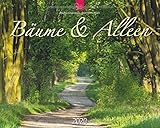 Bäume & Alleen 2020: Großformat-Kalender by