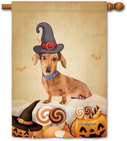 dog happy halloween