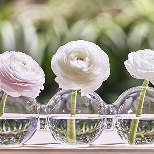 Caterpillar, Large Clear Glass Bud Vase 13" Long 4" Wide 3.5” Tall for