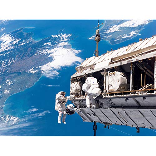 Space NASA STS-116 Spacewalk International Station Photo Art Print Canvas Premium Wall Decor Poster Mural