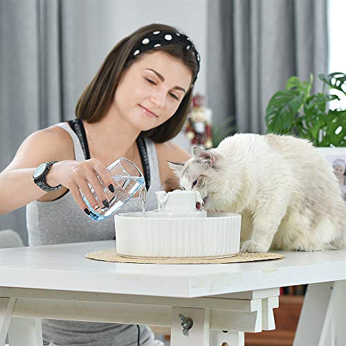 Cepheus Ceramic Pet Drinking Fountain, Ultra Quiet Cat Water Fountain
