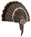 New Age Premium Turkey Fan Mount with Head Honcho European Mount