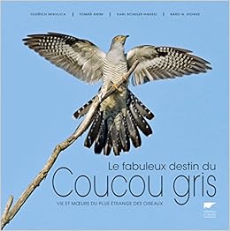 Amazoncom Le Fabuleux Destin Du Coucou Gris Vie Et