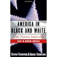 America in Black and White: One Nation, Indivisible