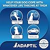 ADAPTIL Calm 30 day Refill, helps dog cope with behavioural issues and life challenges - 48 ml (Pack of 1)