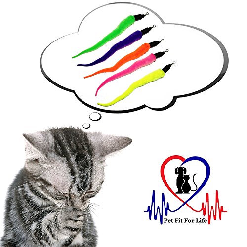 Pet Fit For Life - 5 Piece Kitten Toy Refill Pack - Replacement for Indoor Cat's Interactive Wand and Catch Wand - Features 5 Assorted Soft Squiggly Worm Attachments