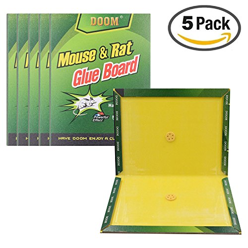 Mouse trap, 5 pack mouse glue boards, mouse glue traps,…