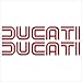 Crawford Graphix Ducati Lines Decals Stickers - Ducati 1098 Superbike 999 749 848 Monster Hypermotard 1100 996 Sport Touring (6