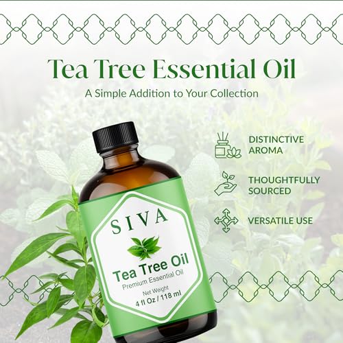 SIVA Tea Tree Essential Oil - 4 Fl Oz – Natural Tea Tree Oil - for Diffuser, Face, Skin Care, Aromatherapy, Hair Care, Scalp and Body Massage - with Dropper