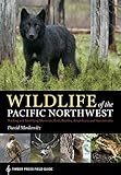 Wildlife of the Pacific Northwest: Tracking and Identifying Mammals, Birds, Reptiles, Amphibians, and Invertebrates (A Timber Press Field Guide)