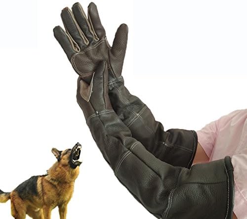 JZDCSCDNS Pets Anti-Biting Gloves Anti-Acupuncture Anti-Piercing Barrier Anti-Scratch Wear-Resistant Working Gloves Hand Protection Chestnut Rose Hedgehog Training Dogs Animal Keeper Cowhide