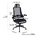 KADIRYA High Back Ergonomic Mesh Office Chair with Mesh Seat - Adjustable 90-110 Degree Tilt Lock, Flip-up Armrest, Lumbar Support and Headrest Computer Desk Task Chair, Black