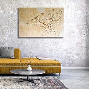 Canvas Wall Art - Vintage Animal Fish Fossil Living Room Poster Prints - Modern Home Art Stretched and Framed Ready to Hang - 12x18 inches