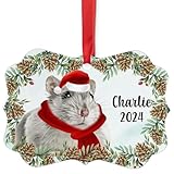 Grey Hamster Christmas Ornament 2024 - Personalized