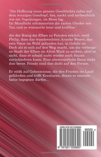 Amazon Com Hinter Verborgenen Pfaden Der Geheime Schlussel Volume 1 German Edition 9781501025600 Hornung Kerstin Books