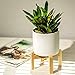 Mid Century Modern Plant Stand: The Northern Habitat Wood Table Top Planter with 4.5 Inch Round Pot - Indoor Matte White Ceramic Pot and Bamboo Pot Holder for Plants - Succulent Pots and Wooden Stands