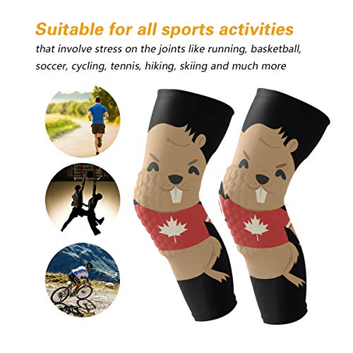 Knee Sleeve Beaver with Ice Hockey Stick and Puck Full Leg Brace Compression Long Sleeves Pads for Meniscus Tear, Arthritis, Running, Workout, Basketball, Sports, Men and Women 1 Pair