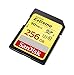 SanDisk Extreme 256GB SDXC UHS-I Card (SDSDXNF-256G-GNCIN) [Old Version]