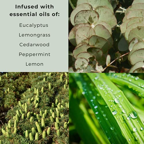 Natural Eucalyptus Mosquito Repellent Candle (Set of 3) no Deet 88