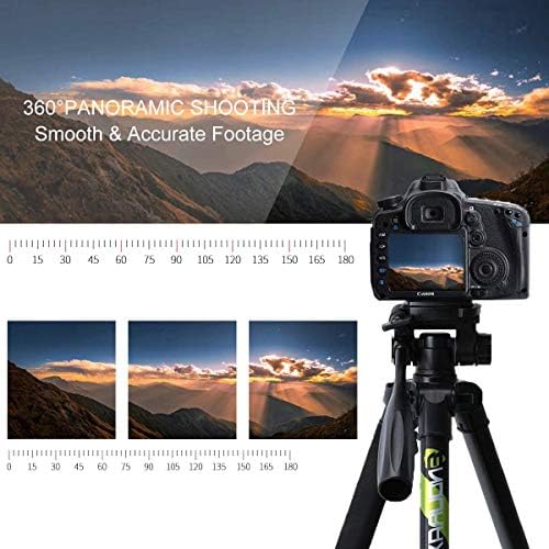 Endurax 66" Video Camera Tripod for Canon Nikon Lightweight Aluminum Travel DSLR Camera Stand with Universal Phone Mount and Carry Bag 2 516 uuuohYL. AC