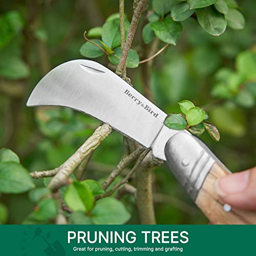 Berry&Bird Pruning Knife, Grafting Knife, Stainless Steel Garden