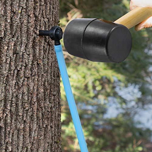 Maple Syrup Tree Tapping and Sugaring Starter Kit Value Pack 10 Taps