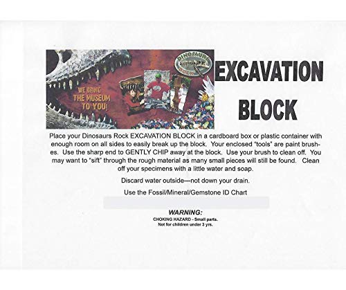 Fossil Mineral Gemstone Excavation Dino Dig Kit - 200+ Real Specimens - Thumbnail 6