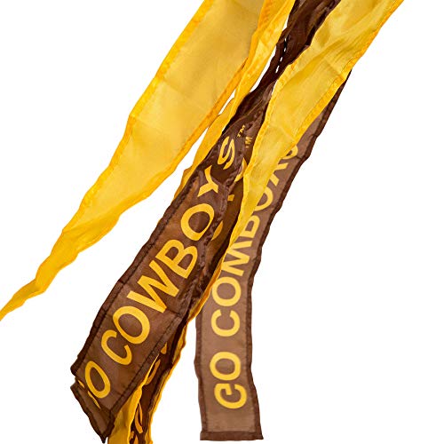College Flags and Banners Co. Wyoming Cowboys Windsock