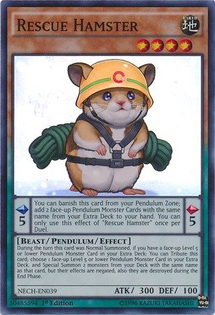 Yu-Gi-Oh! - Rescue Hamster (NECH-EN039) - The New Challengers - 1st Edition - Super Rare