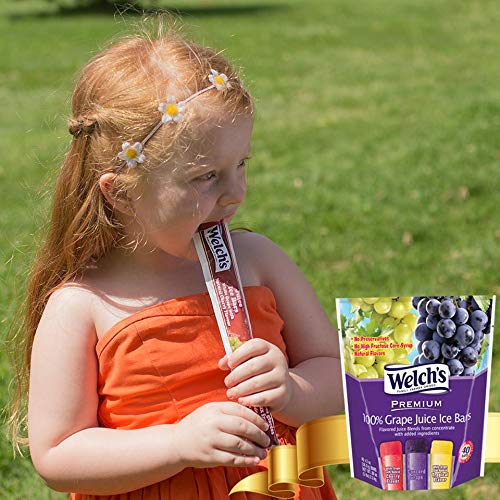 3 Welchs+Freezies+Concord+Tropical+Cherry