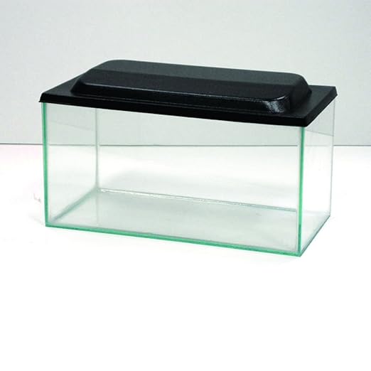 Mini Aquarium with Lid 16x8x8" Amazon.co.uk Pet Supplies