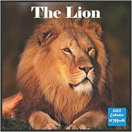 The Lion 2022 Calendar: Official Lion Animals Calendar 2022, 16 Month Square Calendar: 2022, Lion Calendars: 9798531788825: Amazon.com: Books